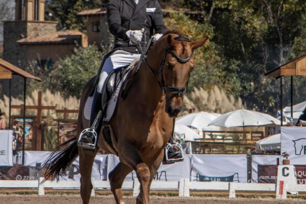 RDMHOY_0003_IMG_5603 RDMHOY_0003_IMG_5603